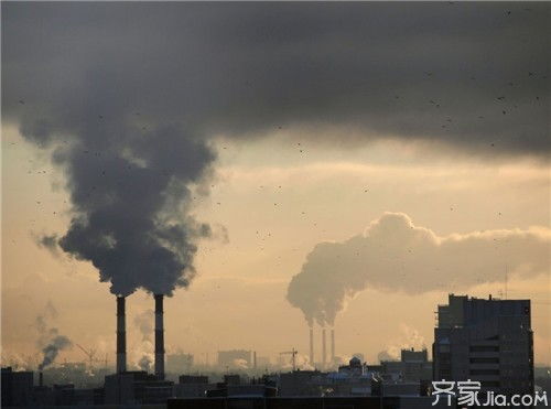 木质家具守护与蓝天保卫 虫害防治与环境治理的双重行动