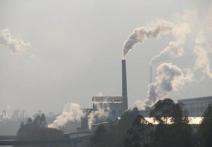 大气污染治理拉开大网 精准围剿“散乱污”成主战场